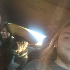 Meet your Posher, Patrick